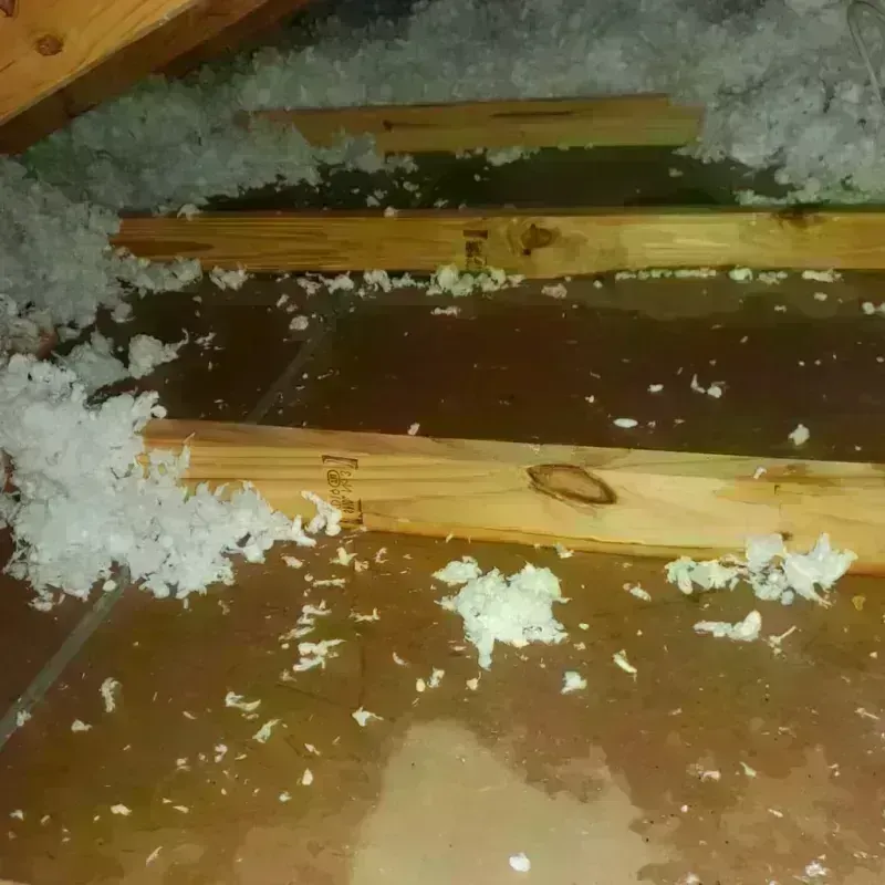 Attic Water Damage in Wabash County, IN