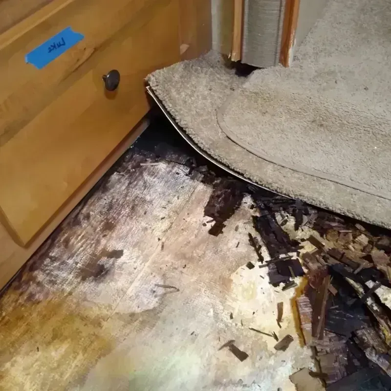 Best Wood Floor Water Damage Service in Wabash County, IN